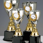 Beautifull Gold/Silver Cup