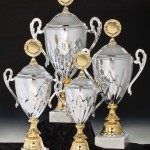 Schöner Silber/Gold Cup