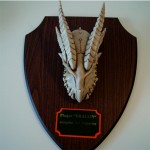 Dragonhead Plaque