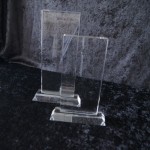 Glass trophy Yin5